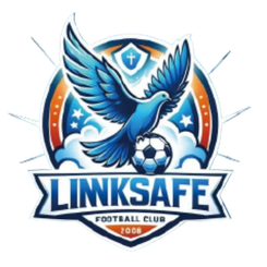 Ji'nan Linksafe – Football Team