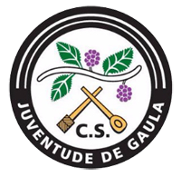 Hold Juventude Gaula. Opstilling Football