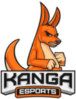 Kanga Esports CS2 (CS:GO) Team