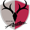 Kashima Antlers (Youth) – Football Team