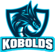 Команда Kobolds. Состав Dota 2