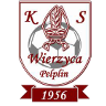 KS Wierzyca Pelplin – Football Team