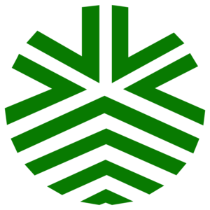 Kwai Tsing District FA – Football Team