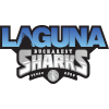 Laguna Bucuresti Basketball Team