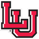 Equipo Lamar. Composición De Basketball