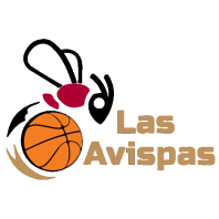 Equipo Las Avispas (f). Composición De Basketball