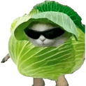 Hold Lechuga Gaming. Opstilling LoL