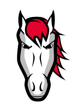 Leicester Riders (w) – Basketball Team