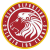 Equipo Leones de Quilpué. Composición De Basketball