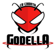 L'Horta Godella II Basketball Team