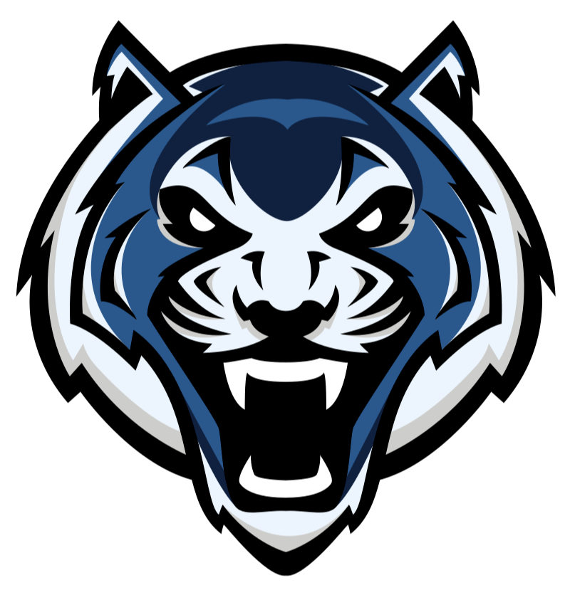 lincoln university (missouri) – Basketball Team