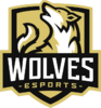 Литваn Волвес, склад з CS2 (CS:GO)