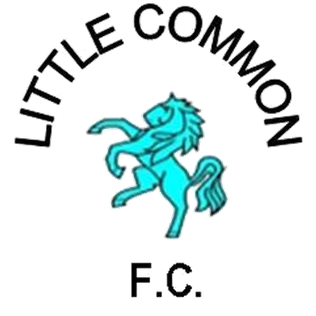 Little Common FC – Football Team