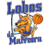 Lobos Basketball Team