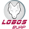 Equipo Lobos Puebla. Composición De Football