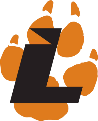 Drużyna Lourdes Esports. Skład Overwatch