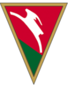 Команда Люблинянка. Состав Football