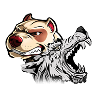 Drużyna Luccini-Dilecom. Skład Dota 2