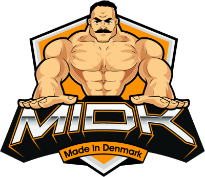Hold Made in Danmark. Opstilling CS2 (CS:GO)