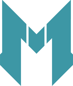 Maestro – CS2 (CS:GO) Équipe