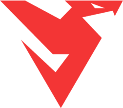MAG.Yolo – Dota 2 Team