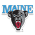 Equipo Maine. Composición De Basketball
