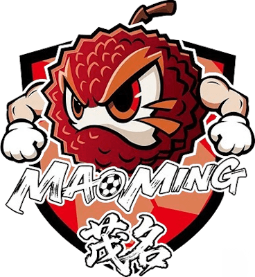 Maoming Team – Football Team