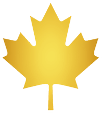 Team Maple – CS2 (CS:GO)