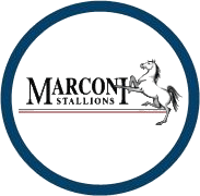 Equipo Marconi Stallions. Composición De Football