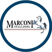 Marconi Stallions U20 – Football Team