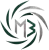 maybe CS2 (CS:GO) Team