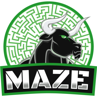 Команда Maze Gaming. Состав LoL