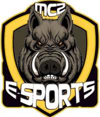 Equipo MCZ E-sports. Composición De Dota 2