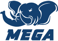 Команда МЕГA. Состав LoL