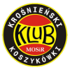 Miasto Szkła Krosno Basketball Team