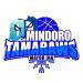 Mindoro Tamaraws Basketball Team