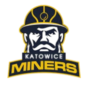 Miners Katowice Basketball Team
