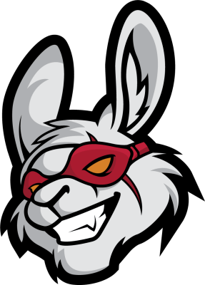 Misfits Black Valorant Team