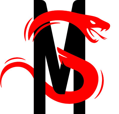 Equipo MOLEGAN. Composición De CS2 (CS:GO)