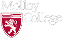 Molloy College – Basketball Team