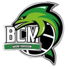Equipo Montbrison. Composición De Basketball