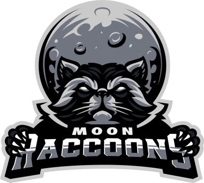 Команда Moon Raccoons. Состав Valorant