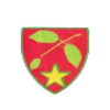 Drużyna Mostistea Ulmu. Skład Football