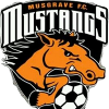 Hold Musgrave Yellow. Opstilling Football
