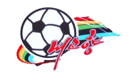 Naegohyang (w) – Football Team