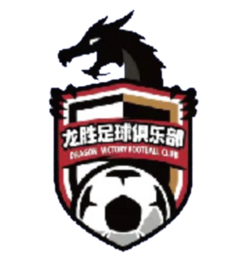 Nanjing Longsheng – Football Team