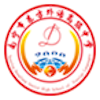 Nanning Dongfang U19 – Football Team
