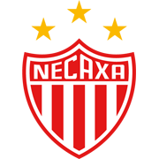 Equipo Necaxa U19. Composición De Football