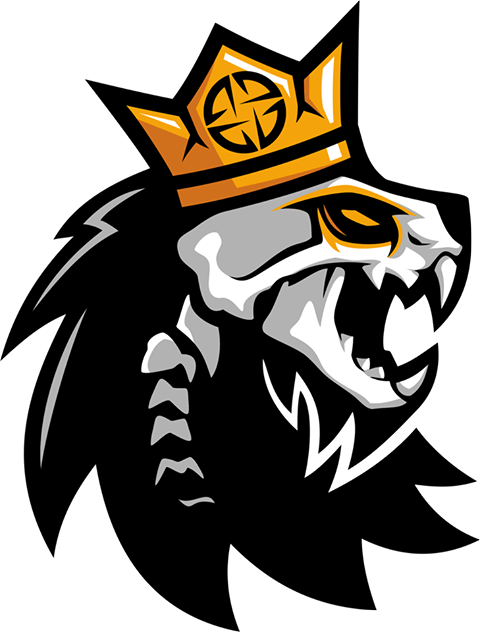 Команда NecroRaisers. Состав CS2 (CS:GO)