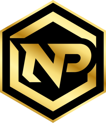 NerdPunt Valorant队